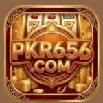 PKR656 game feature image