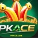 PKACE game