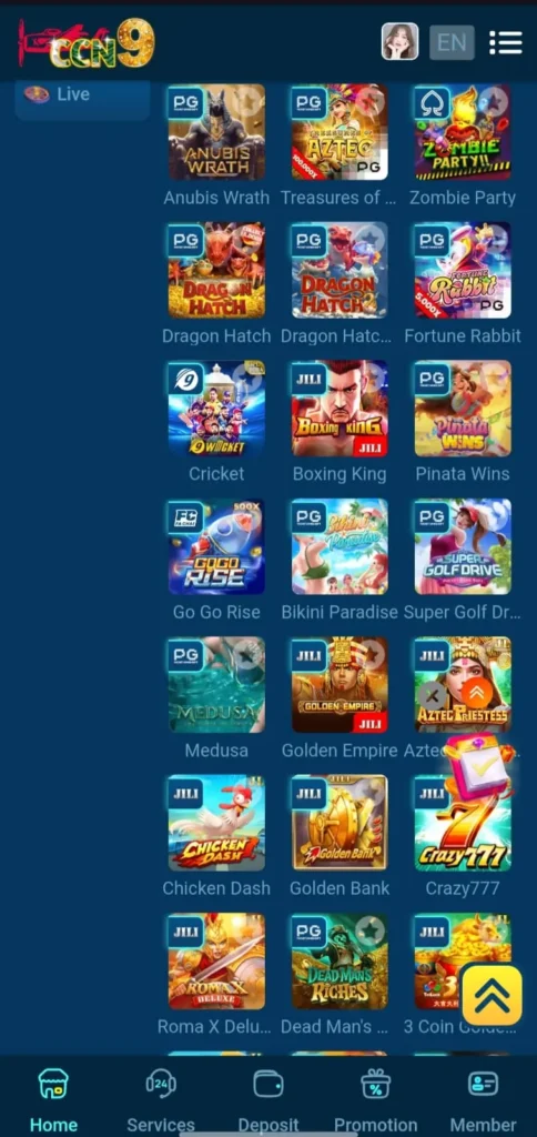 ccn9 game interface