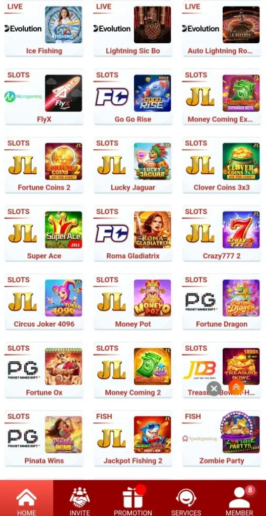 5555Pak game interface